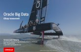 Oracle Big Data. Обзор технологий