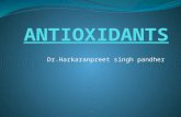 Antioxidants 1 in dentistry
