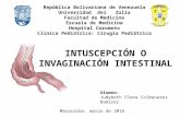 Intuscepcion o invaginacion intestinal