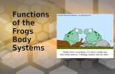 Functions of the frogs body systems