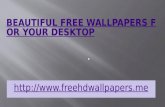 Beautiful free wallpapers for your desktop