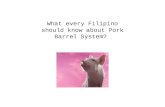 What every Filipino should know about Pork Barrel System