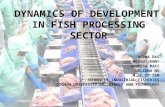 Dynamics of development in fish processing sector