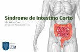 Síndrome de intestino corto (final)