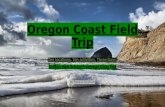 Oregon Coast Field Trip