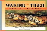 Waking the tiger_healing_trauma_the_innate_capacity_to_transform_overwhelming_experiences