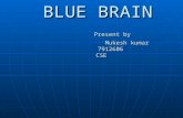 215be 22599716-blue-brain2
