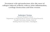 FREE PAPER PRESENTATION - Spironolactone Rx after onset of collagen  induced arthritis - Dr Inderjeet Verma