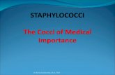 Staphylococci final