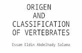 Origen and classification of veretebrates 2017 new microsoft powerpoint presentation (2)