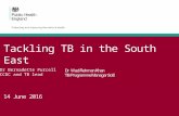Tb update 14 6-2016 for fph conf