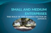 Small and Medium Enterprises: The Role of the Bamboo Sector in Jamaica
