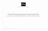 Entrepreneur survival kit