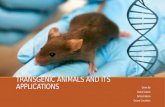 Transgenic animals and its Applications