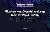 Microservices: Organizing Large Teams for Rapid Delivery