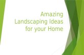 Amazing landscaping ideas for your home