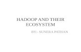 Hadoop And Their Ecosystem ppt