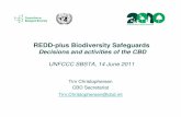 Cbd introduction redd plus biodiversity safeguards