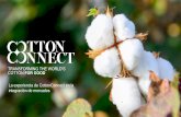 La experiencia de Cotton Connect en la integración de mercados – Julio Villareal