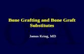 G12 bone grafts & subs