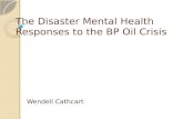 The Disaster Mental Health Responses to the BP