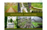 RISE SUSTAINABLE AGRICULTURE WORKSHOPS PROPOSAL 2016
