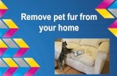 Remove pet hair from your home
