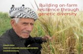 Building on-farm resilience through genetic diversity