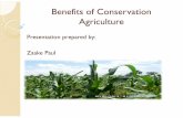 Benefits of Conservation Agriculture presentation for Conference on Climate Change