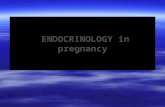 Endocrinology in pregnancy   i
