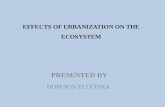 Effects of Urbanization on the Ecosystem