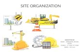 Site organization and networking techniques