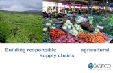 Presentation on Building responsible agricultural supply chains