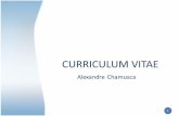 Curriculum Vitae Alexandre Chamusca