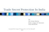 Trade Secrets: Presentation on Trade Secret Protection in India - BananaIP