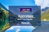 Apex Visas Review