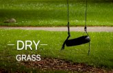 Lawn care services, lawn maintenance, lawn installation solutions