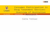 Consumer Participation in Drug Treatment Services: Overview of Australian Research (11/05/16)