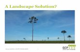 A Landscape Solution?
