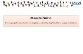 May 2016 Capital Nurse Programme - An Update