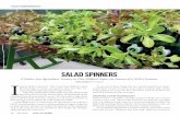 Edible Nutmeg: Salad Spinners
