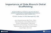 J.Lassen, importance of side branch ostial scaffolding