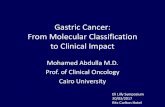 Management of Gastric Cancer in 2017