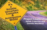 Developing Project Leadership
