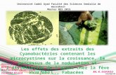 The effects of extracts of Cyanobacteria