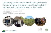 Learning from multistakeholder processes on catalysing pro-poor smallholder dairy value chain development in Tanzania