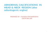 abnormal calcifications in head and neck region also with oral tissues including odontomas with histopathology