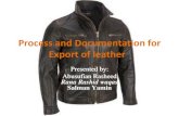 Project on export process and documenatin of leather by leather coordinator sahiwal