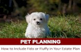 Pet Planning: How to Include Your Fido or Fluffy in Your Estate Plan