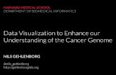 Data Visualization to Enhance our Understanding of the Cancer Genome